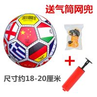 儿童充气玩具小皮球幼儿园宝宝手拍球彩旗认知中国地图球地球 认知球送打气筒和网兜
