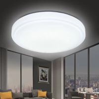 LED吸顶灯圆形客厅灯具现代简约餐厅阳台过道卧室厨房节能灯超亮 高白 20厘米白光-15瓦