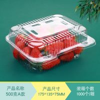 一次性水果盒透明塑料有盖保鲜盒榴莲包装盒果蔬盒采摘便携打包盒 500克薄款 20套