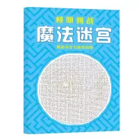 魔法迷宫线条专注力训练6岁上儿童小学多动症训练注意力益智玩具 训练眼力专注力[魔法迷宫]