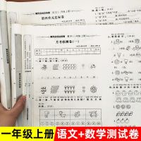 一年级上册语文和数学人教版试卷全套单元期中期末同步教材练习册 一年级上册 语文