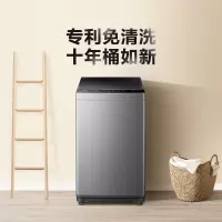 美的(Midea)MB80V33B 8公斤免清洗 波轮洗衣机 家用大容量 水电双宽 下排水