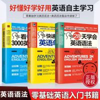 全3册28天学会英语语法 会中文就会说英文英语入门语法自学教材英语单词零基础学习书