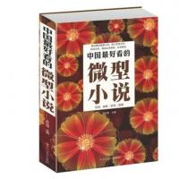 中国最好看的微型小说 世界微型小说短篇小说选刊杂志系列图书籍 中国最好看的微型小说