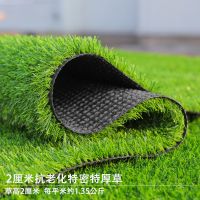高档仿真草坪人造绿色地毯垫子植物墙面假草皮足球场装饰人工塑料 加筋网格加厚超密2.0厘米春草