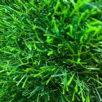 人造草坪垫绿色假仿真草皮户外绿植装饰足球场人工塑料幼儿园地毯 15066927202