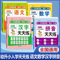 为一年级做准备幼小衔接教材全套4册 拼音+汉字+语文+数学同步练习测试一本通幼升小一日一练幼儿学前专项训