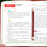 中学生好词好句好段好开头好结尾 满分素材大全 初中优美句子积累本七八九年级作文素材上册下册作文书必读课 好词好句好段好开