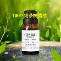 茶树精油10ml 澳洲茶树精油面部控油祛痘眼睛螨虫按摩去黑头粉刺香薰单方