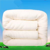 180x200cm 3斤 棉被子棉花被芯棉絮垫被褥子床垫被子芯被铺冬被加厚家用保暖棉胎