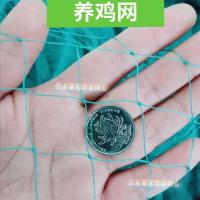 6股3厘米(养鸡最实惠的) 1米宽50米长 养鸡网养殖网菜园围栏网果园防鸟网爬藤网养鸡围栏网天网家用顶网