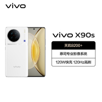 vivo X90s 12GB+256GB 告白