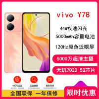 vivo Y78 12GB+256GB 凤羽金(新)