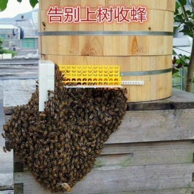 一件 分蜂器无人值守分蜂器中蜂圆桶收王笼挡门防逃栅框蜂具蜂箱收蜂