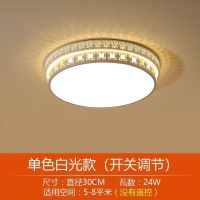 高亮白光LED 圆30cm-24W LED吸顶灯长方形遥控大气客厅灯具现代简约卧室灯阳台灯餐厅灯饰