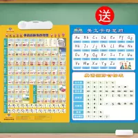 鹦朗音标有声挂图(送音标表) 小学生48个英语国际音标发音有声挂图初一音标学习神器自然拼读法