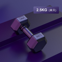 体验款2.5kg单只 2022全新升级 一物多用 哑铃男士健身家用器材女壶铃练臂肌一对包胶六角亚玲套装组合学生