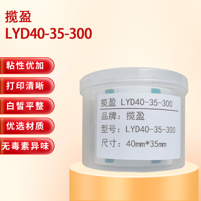 揽盈 LYD40-35-300 40mm*35mm打印标签 300张/盒(计价单位:盒) 绿色