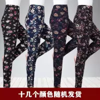 女士驼绒棉裤中年妈妈外穿三层加厚大码高腰修身加绒加厚打底裤冬 花色随机 (三层加厚) 3XL 90-120斤