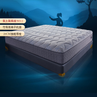[CBD]SN-态极 床垫高端簧上簧护脊软硬双面1.5/1.8米酒店床垫