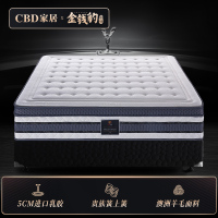 [CBD]SN-千禧5CM加厚乳胶床垫席梦思弹簧床垫厚28厘米