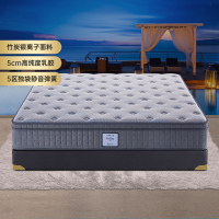 [CBD]SN-假日乳胶床垫独立弹簧软硬双面五星级酒店床垫