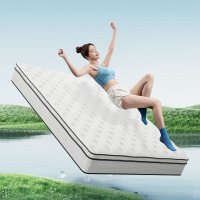 [CBD]SN-喜悦床垫天然乳胶独立弹簧床垫软硬适中双面床垫