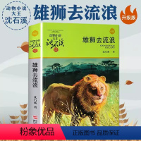 雄狮去流浪 [正版]沈石溪动物小说品藏书系列 全集36册 狼王梦斑羚飞渡第七条猎狗后一头战象雪豹悲歌混血豺王珍藏版十大经