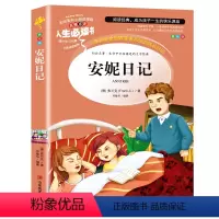 安妮日记 [正版]金银岛书 史蒂文森原著 世界经典名著小学生三四五六年级必读课外阅读书籍故事人民青少年儿童版文学读物山东