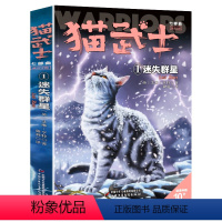 七部曲-1迷失群星 [正版]猫武士全套42册 第一二三四五六七部曲全套 传奇的猫族儿童中小学生动物小说小学生课外阅读书籍