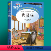 [第二本半价]我是猫 [正版]小王子书籍插画书珍藏版三年级课外书必读四年级阅读五六年级必读的课外书老师小学生课外阅读书籍