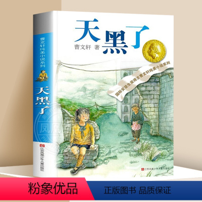 ❤天黑了 [正版]蜻蜓眼 曹文轩纯美小说系列儿童校园文学青少版小学生课外阅读书籍8-9-10-12-15岁读物凤凰书店