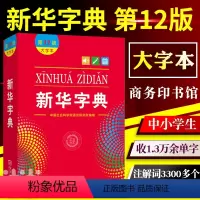 [正版]当当 字典12版新版大字本商务印书馆第十二版中小学生字典小学生汉语字典工具书大字版2022 2023适用一年级