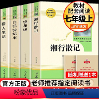 [人教版]七上选读全4册 [正版]朝花夕拾鲁迅原著+西游记无删减版七年级上册必读课外书人民教育出版社老师阅读白洋淀纪事湘