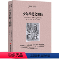 [中英互译]少年维特之烦恼 [正版]中英双语老人与海书中英文双语名著读物英汉对照互译英语小说海明威原著 读名著学英语 高