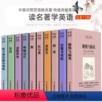 [中英互译]全十册 [正版]中英双语金银岛书中英文双语名著读物英汉对照互译小说 斯蒂文森原著 读名著学英语 高中生初中生