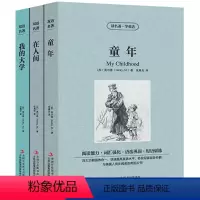 [中英互译]高尔基三部曲 [正版]中英双语金银岛书中英文双语名著读物英汉对照互译小说 斯蒂文森原著 读名著学英语 高中生