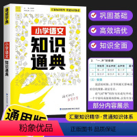 语文 小学通用 [正版]2023通城学典小学生一二三四五六年级小学语文数学英语知识通典通用版 小升初资料包大集结基础知识