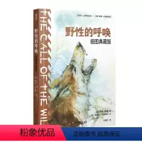 [正版]野的呼唤:插图典藏版杰克·伦敦小说书图书籍湖南文艺出版社有限责任公司9787572602665