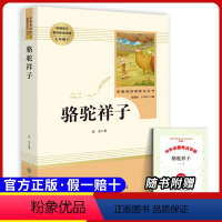 七下必读 骆驼祥子 [正版]原著七年级上册必选读课外书城南旧事白洋淀纪事猎人笔记湘行散记镜花缘人民教育出版社初一上册必读