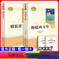 [七下必读]海底两万里+骆驼祥子 [正版]原著七年级上册必选读课外书城南旧事白洋淀纪事猎人笔记湘行散记镜花缘人民教育出版