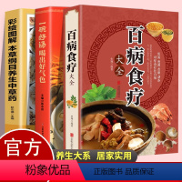 [正版]3册百病食疗大全养生中草药一碗汤好气色大全煲汤健康养生汤老火靓汤菜谱书家常菜大全食疗药膳书籍老火汤营养餐营养炖