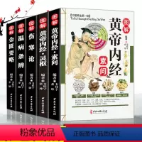 [正版]全套5本中医四大名著经典伤寒论 金匮要略 黄帝内经素问全集原著 温病条辨图解素问 古籍汉张仲景杂病论彩图白话书