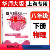 [正版]2024物理一课一练八年级下华东师大版物理八年级下册八下第二学期上海初中8下初二教辅练习册华东师范大学一课一练