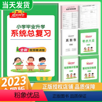 [正版]2023新Sunny同学小升初系统总复习语文小升初真题卷人教版六年级上下册小学升初中总复习资料思维专项训练小考