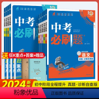 [9本]全套--全国通用 初中通用 [正版]2024版中考必刷题历年真题九年级上下册总复习资料练习题数学语文物理英语