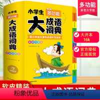 [正版]2023多功能小学生成语大词典全新四字彩色彩色图案大字版大开本字典汉语成语词典现代成语词典大全常用工具书辞字典