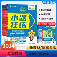 新高考天星小题狂练 数学 [正版]2024新高考小题狂练 语文数学英语物理化学生物政治历史地理 小题狂练金考卷高考命题新