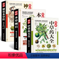 [正版]全3册 彩图全图全解中草药大全+本草纲目+神农本草经中医入门中草药材识别图鉴大全书籍药材植物彩图中药大全书中药