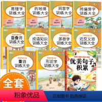 [全11册]优美句子积累+词语训练大全10册 小学通用 [正版]优美句子积累大全打卡计划好词好句好段好篇大全摘抄本手册小